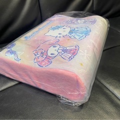 サンリオキャラクター低反発まくらの画像