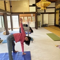 お寺でヨガ、しよう！の画像