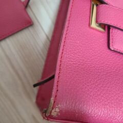 Samantha Thavasaバックの画像