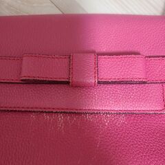 Samantha Thavasaバックの画像