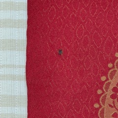 【無料】座布団 2枚セット  の画像