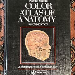 人体解剖学の画像