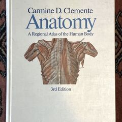 人体解剖学の画像