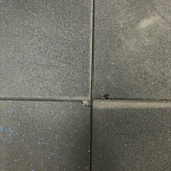 トレーニング用ジムマット　12枚セットの画像