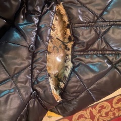 チャンピオン　ダウンロンパース　オーバーオールの画像