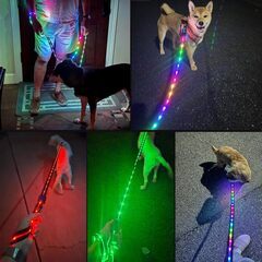 【新品】光るリード 120㎝の画像