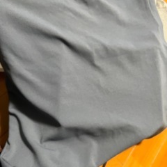 ベスト Lサイズ ほぼ未使用の画像