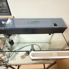 上部フィルター　水槽台付き水槽の画像