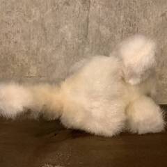 猫のぬいぐるみ　キャット　レトロ　ヴィンテージ系　ねこ　ネコ　にゃんこの画像
