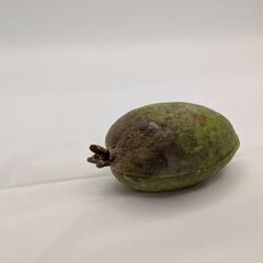 【幻の果実】濃厚な香り！フェイジョア 1kgパック (約20g～60g/個)の画像