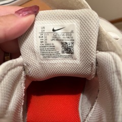 20センチNIKEエアマックスの画像