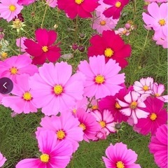 第13回　楽しくお話しする会