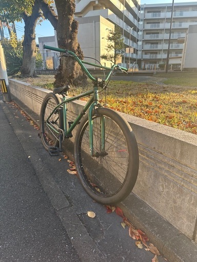 パフォーマー29  bmx