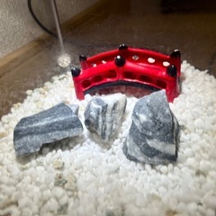 【お渡し確定済】の画像