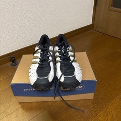 テニスシューズの画像