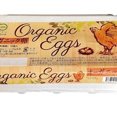 【オーガニック卵】赤卵の殻 モザイクアート、園芸、爬虫類の餌などに❀の画像