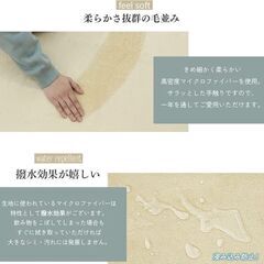 【良品】カーペットラグ(明るい柄)の画像