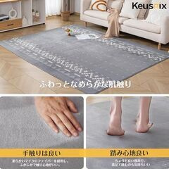 【良品】カーペットラグ(グレー柄)の画像