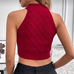 🤍数回着 ニットホルターネックトップスの画像