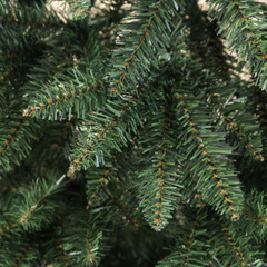 【良品】ニトリ クリスマスツリー(150cm)の画像