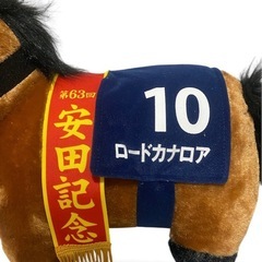 ロードカナリアBIGぬいぐるみの画像