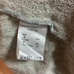 Champion パーカー Lサイズの画像