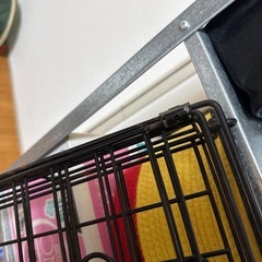  Amazonベーシック 犬 ペットケージ 中型犬 折りたたみ式 トレー付き シングルドア 91 cm x 58 cm x 64 cm ブラックの画像