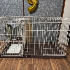 ケージの画像