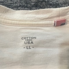 Tシャツ  ボーダーデザインの画像