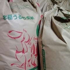 減農薬 令和7年産新米（10kg）色彩選別機使用の画像