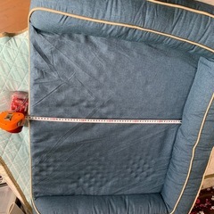 　未使用　犬　ベッドの画像