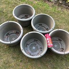 鉢　5個
セットの画像