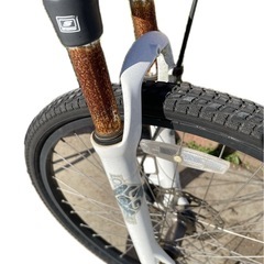 ルイガノ　マウンテンバイク　キャスパープロ　要整備品の画像