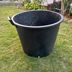 プラスチック　鉢　②
の画像