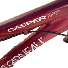 ルイガノ　マウンテンバイク　キャスパープロ　要整備品の画像