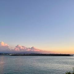 50歳以上のシングルさん限定❣️全国版オプちゃ🌟