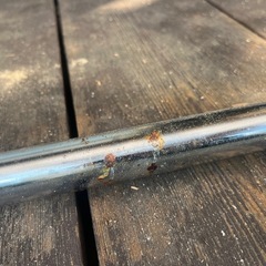 ハンモック　キャンプ　インテリアの画像