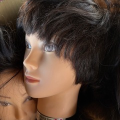 カットウィッグ大量の画像