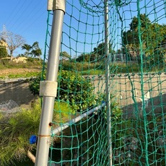 バッティングマシンネットの画像