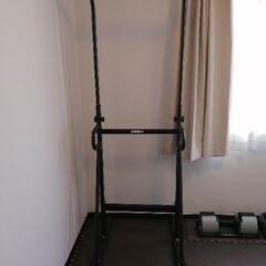 懸垂マシンの画像