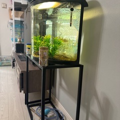 水槽セット　60センチの画像