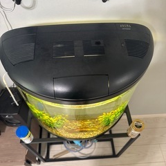 水槽セット　60センチの画像