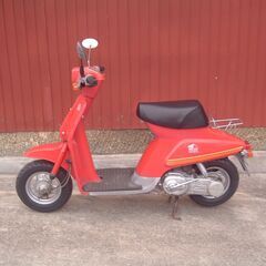 スズキ　薔薇の画像