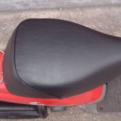 スズキ　薔薇の画像