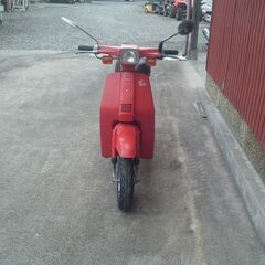 スズキ　薔薇の画像