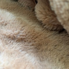 新品未使用、ネックうウォーマーの画像