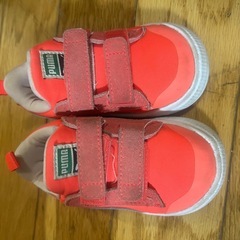 キッズシューズの画像