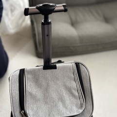 ペットキャリーバッグの画像