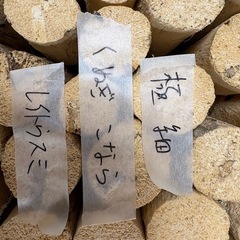 【商談中】クワガタ産卵木、薪の画像