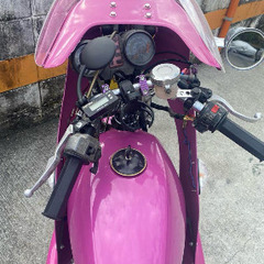 ゴキ　gsx ゼファー　xjr pcx v125g v100の画像